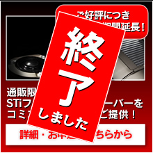 ご好評につき2/20まで期間延長！通販限定！STIフレキシブル